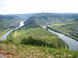 images/mosel/web/vsig_images/b_mosel-0017_508_381_90.jpg